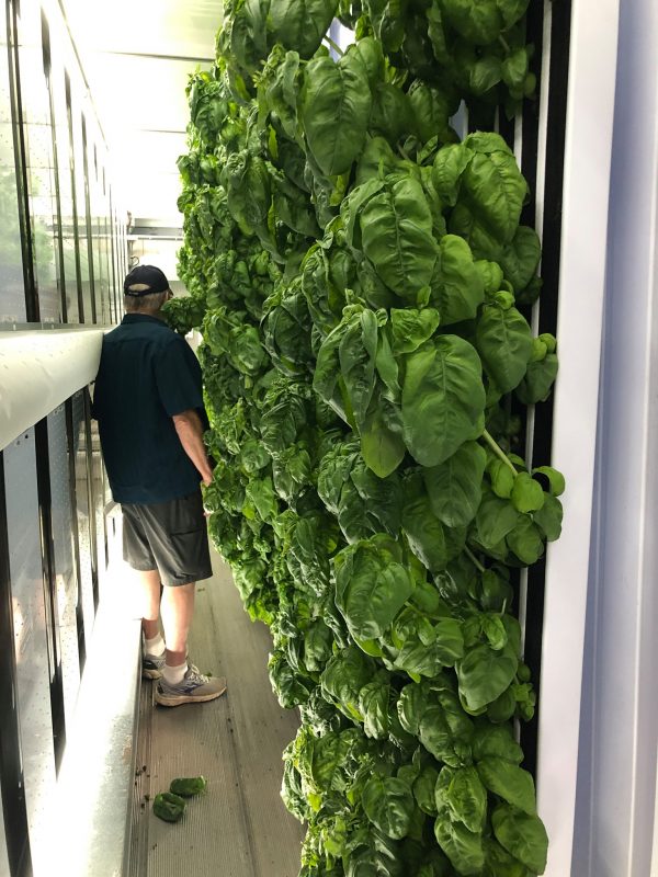 Buy Freight Farms Greenery S - Image 4
